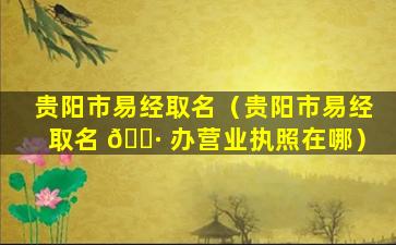 贵阳市易经取名（贵阳市易经取名 🌷 办营业执照在哪）